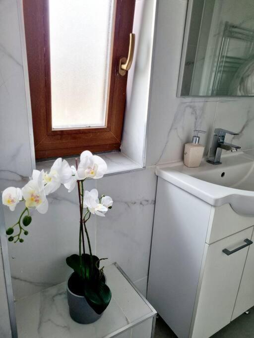 Cozy Apartment Near City Center Bukarest Kültér fotó