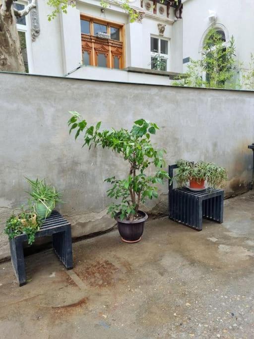 Cozy Apartment Near City Center Bukarest Kültér fotó