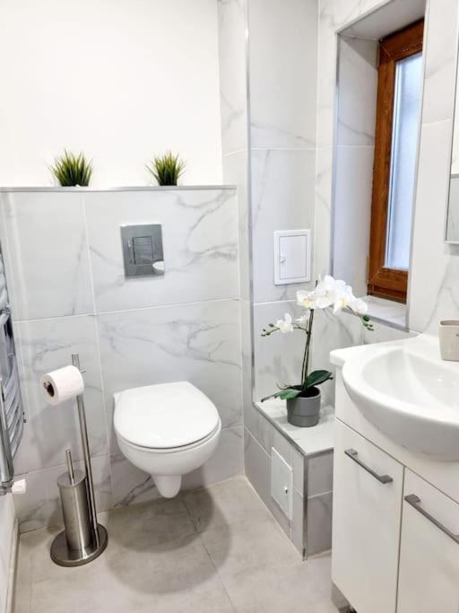 Cozy Apartment Near City Center Bukarest Kültér fotó
